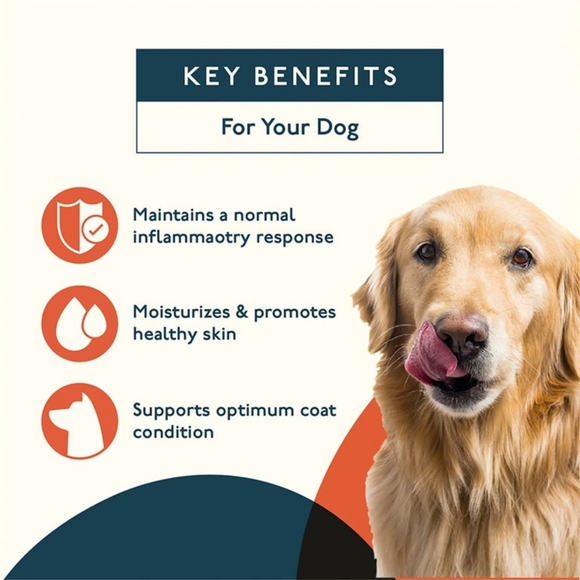 HP 👏 Petlab Co. Dog Itchy Skin & Coat Support Chew - Picture 6 of 7